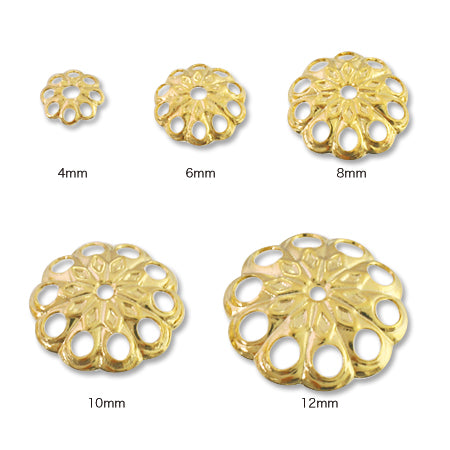 Chrysanthemum black