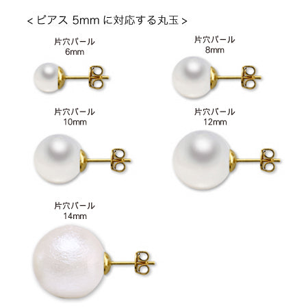 ピアス 芯立 ロジウムカラー