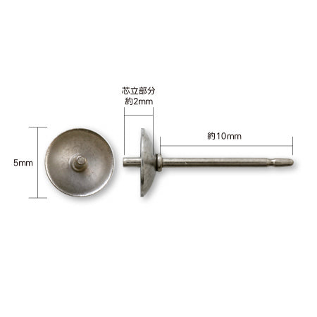 Earrings titanium core
