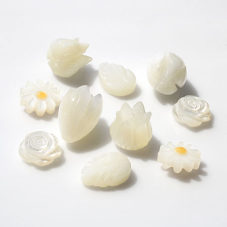 Shell parts tulip white