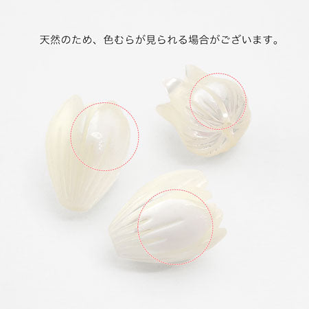 Shell parts tulip white