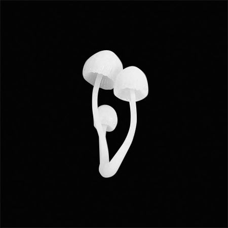 Miniature parts mushroom large