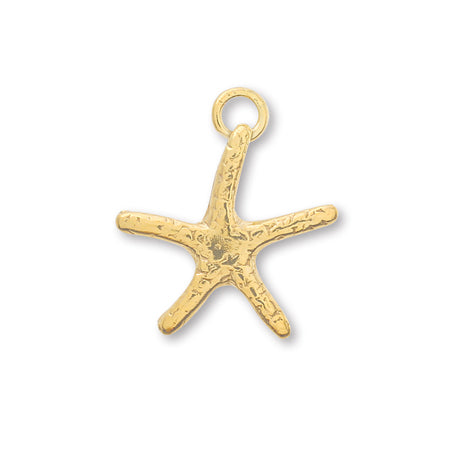 Charm star fish
