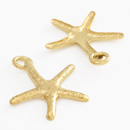 Charm star fish
