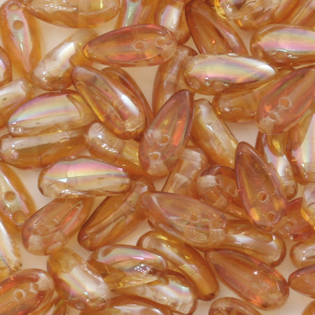 チェコ チリ アプリコットミディアム【アウトレット】