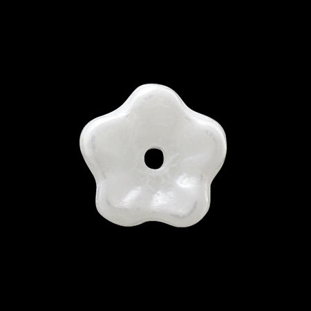 Czech Bellflower Snow White