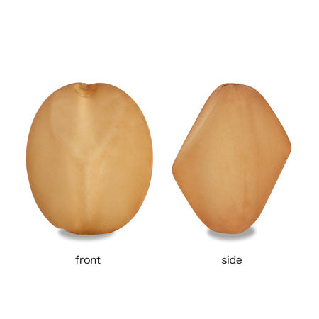 アクリルパーツ多角形 マットキャメル【アウトレット】