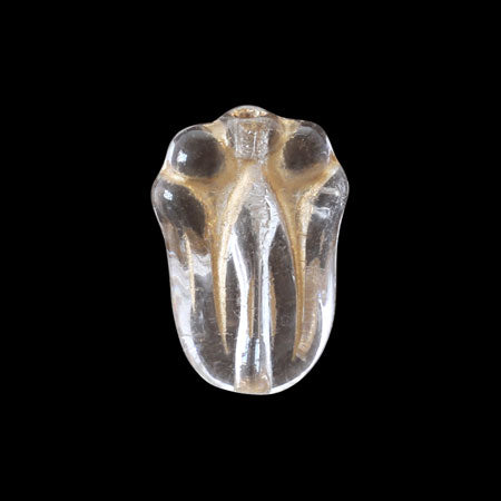 Czech tulip 2 Crystal