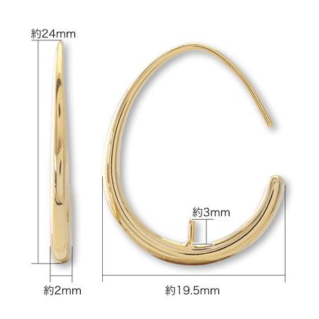 Design Hook Earrings