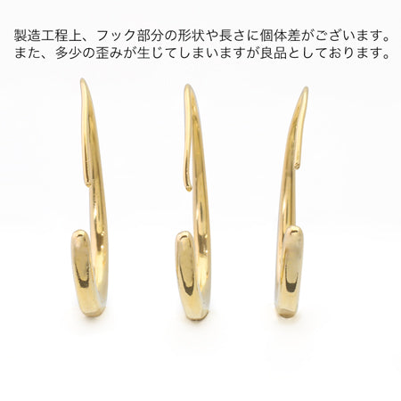 Design Hook Earrings