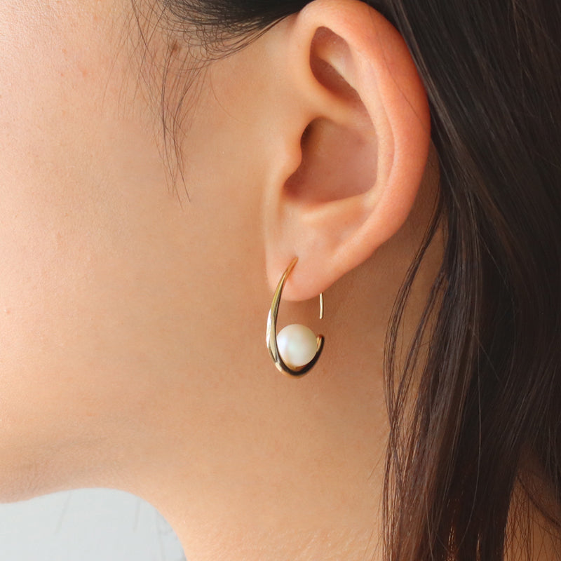 Design Hook Earrings