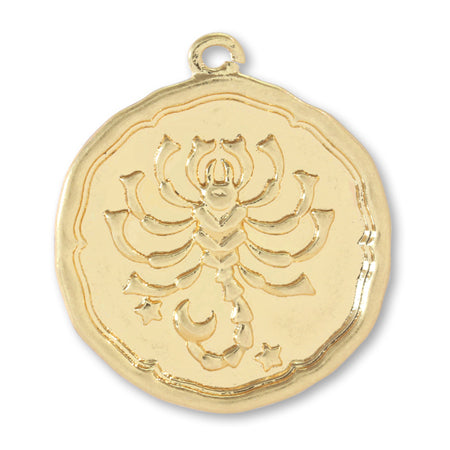 Charm-Coin-Sasori