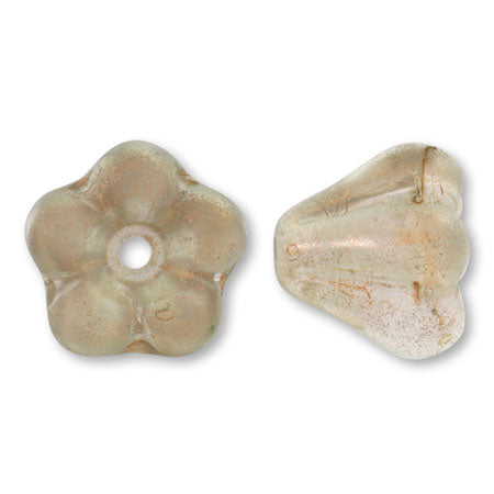 Czech Belflower III: Crystal Bronze