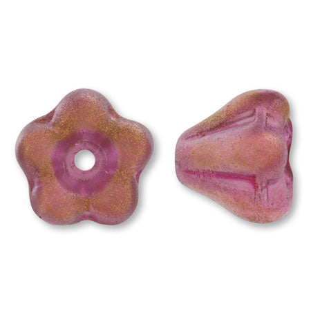 Czech Belflower 3 Pink Bronze
