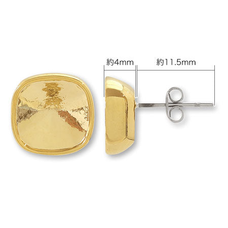 Earrings stainless steel stone