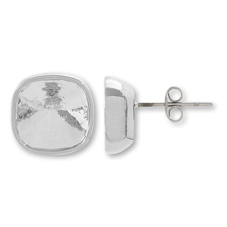 Earrings stainless steel stone