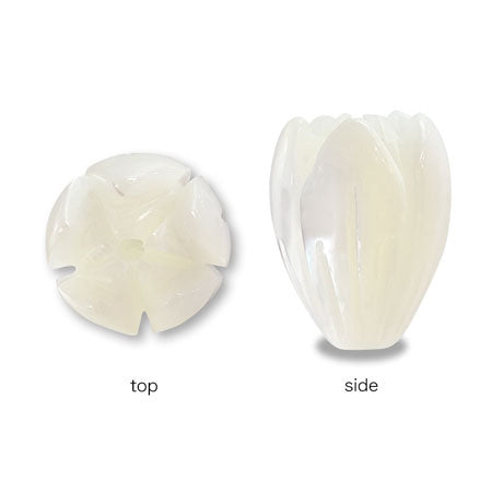 Shell parts jasmine white