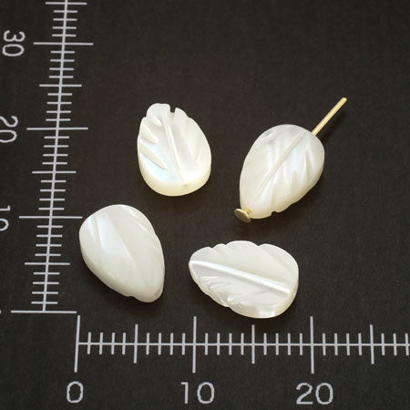 Shell parts leaf white