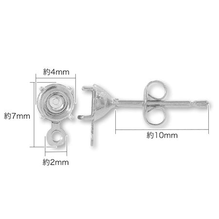 Stainless steel earrings with stone ring