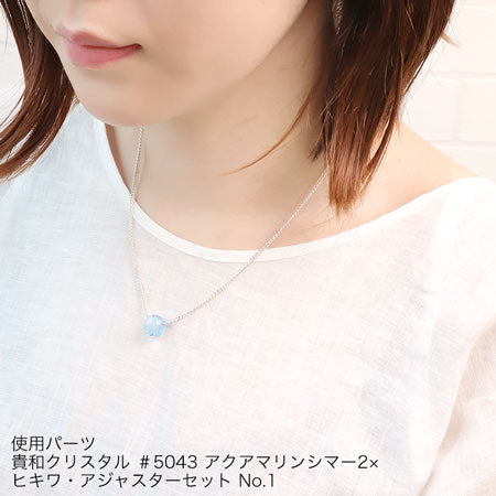 チェーン 160S-DC2 シルバーメッキ