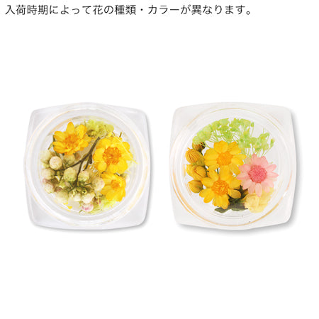 ドライフラワー イエロー