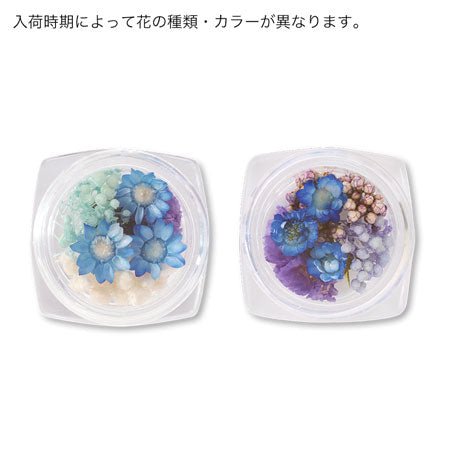 ドライフラワー ブルー