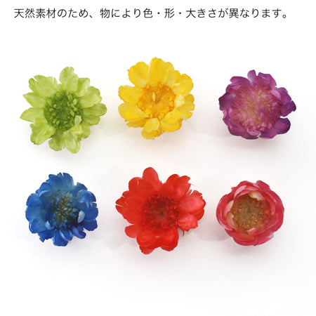 ドライフラワー ブルー
