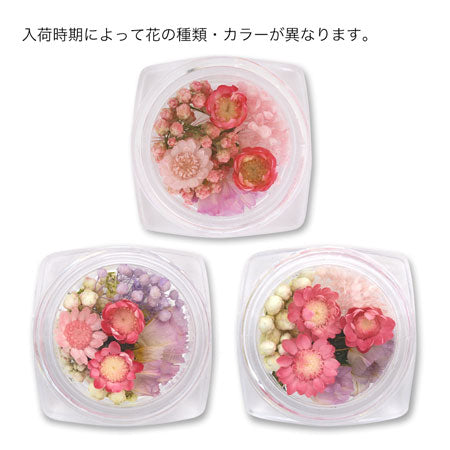 ドライフラワー ピンク