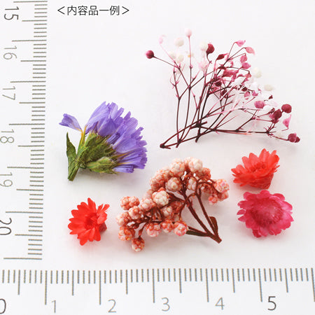 ドライフラワー ピンク