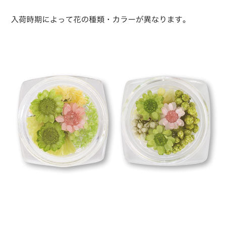 ドライフラワー グリーン