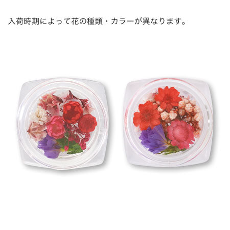 ドライフラワー レッド