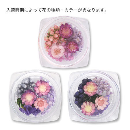ドライフラワー パープル
