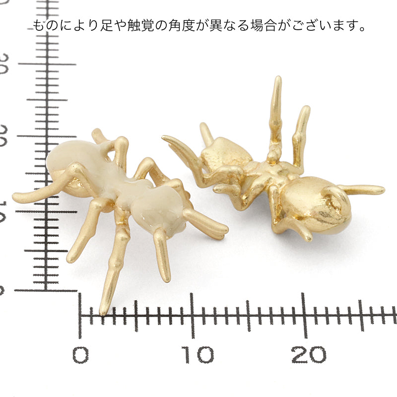 スペインチャーム アリ 裏1カン付 ベージュ/MG