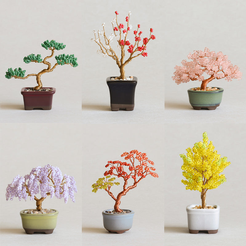 Nejitte BONSAI Kit (HCA30-1~6)