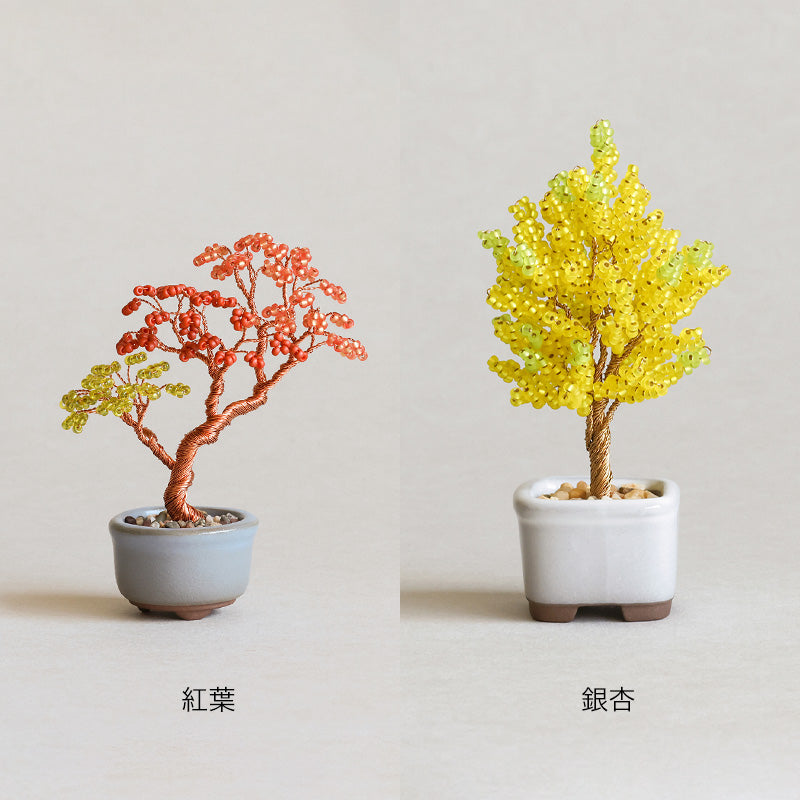 ネジッテBONSAIキット(HCA30-1〜6)