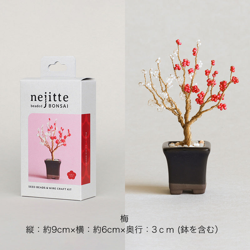 ネジッテBONSAIキット(HCA30-1〜6)