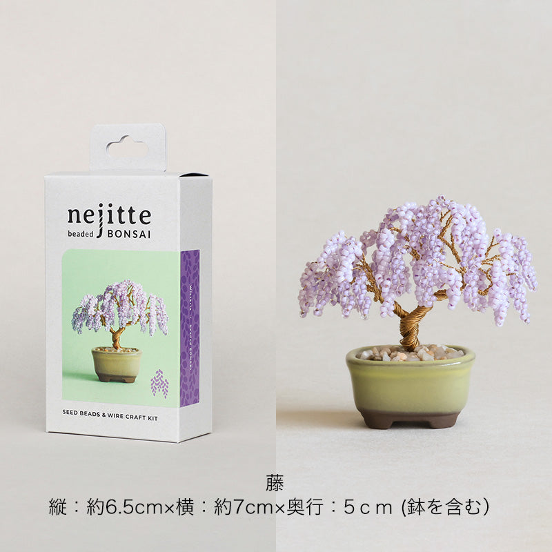 ネジッテBONSAIキット(HCA30-1〜6)