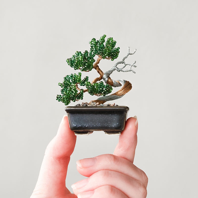 ネジッテBONSAIキット(HCA30-7~12)