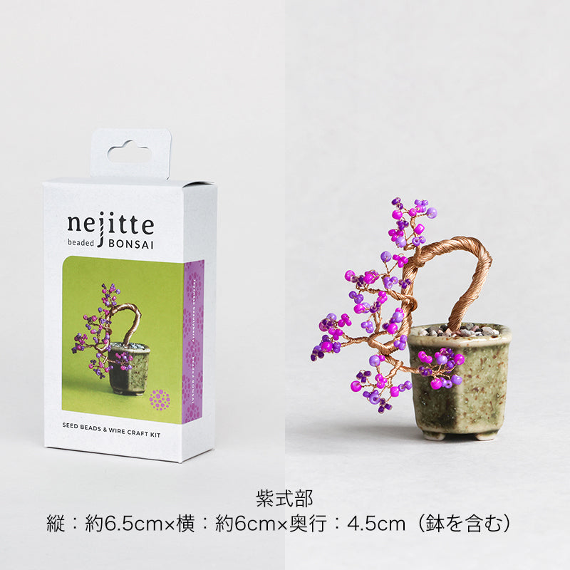 ネジッテBONSAIキット(HCA30-7~12)