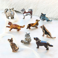 Dog & Cat Series