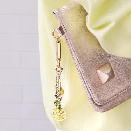 Recipe No.KR0285 Resin frame Citrus bag charm