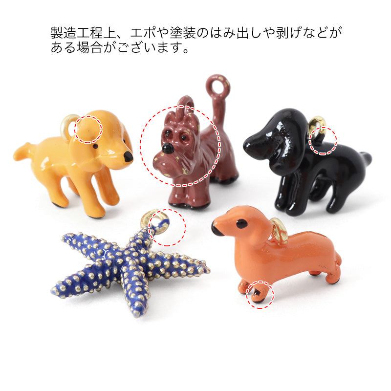 Spanish charm terrier 2 can brown