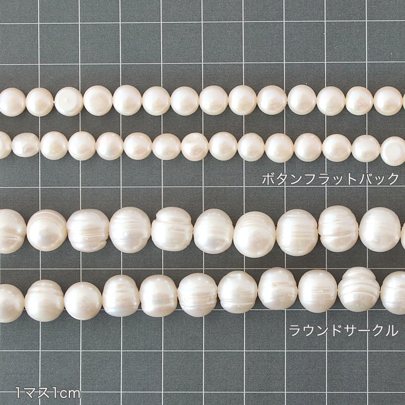 Freshwater Pearl Round Circle White