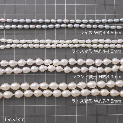 淡水パール ライス　ライトグレー