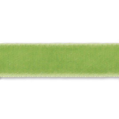 Swiss velvet ribbon green