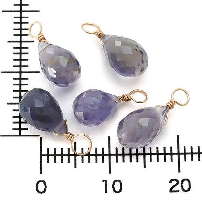 Natural stone glasses fastening charm drop cut eyeolite (natural)