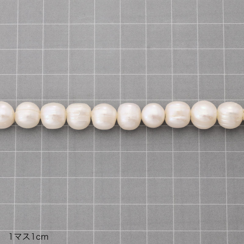 Freshwater Pearl Round Circle White