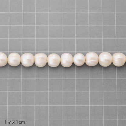 Freshwater Pearl Round Circle White