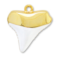 Charm Marine Shark Tooth White/G [Outlet]