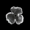 approximately 22 mm / Two.